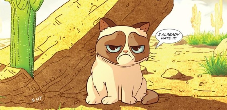 Grumpy Cat to star in her own comic book series