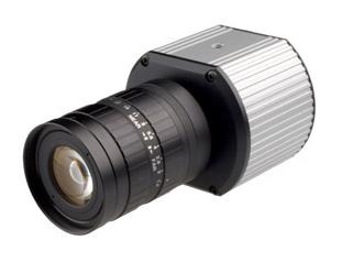 Arecont Vision H.264 CCTV