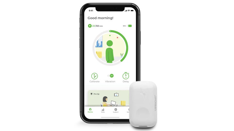 Upright go2 with a phone running the app