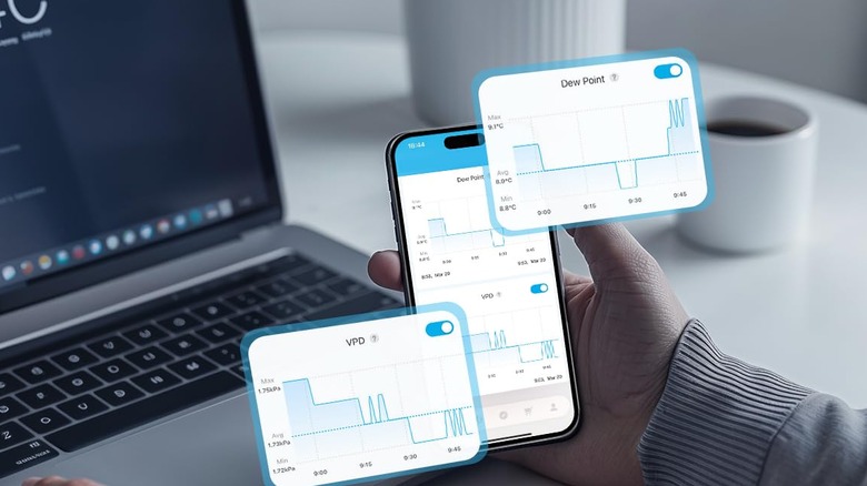 A phone being held in front of a laptop and showing stats.