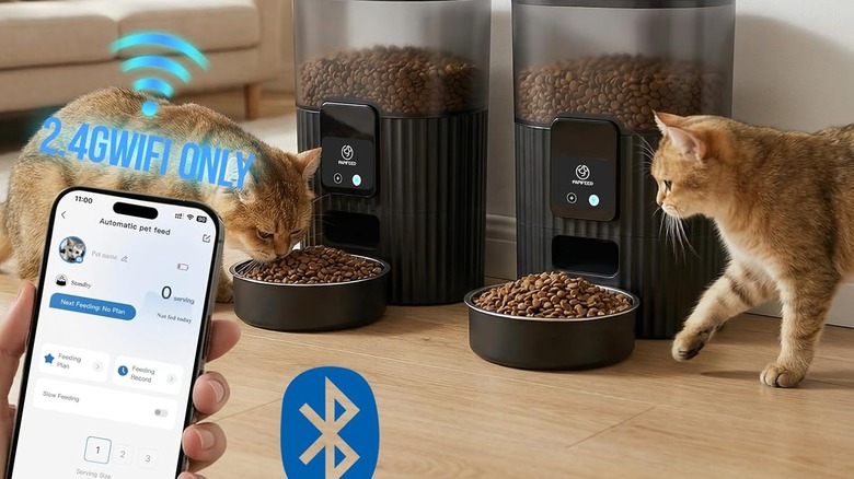 Cats eating from an automatic feeder while a person holds a smart phone nearby.