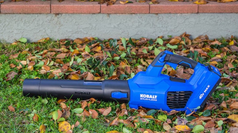A Kobalt Leaf Blower outside, resting on grassy, leaf-covered ground