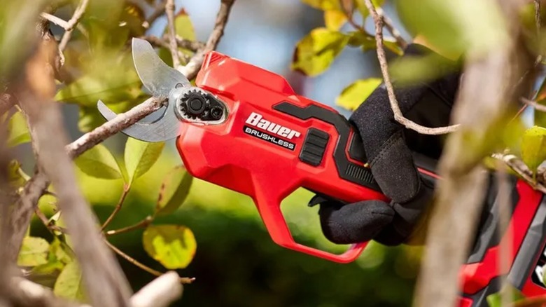 Bauer 20V Cordless Pruner in action cutting tree branches