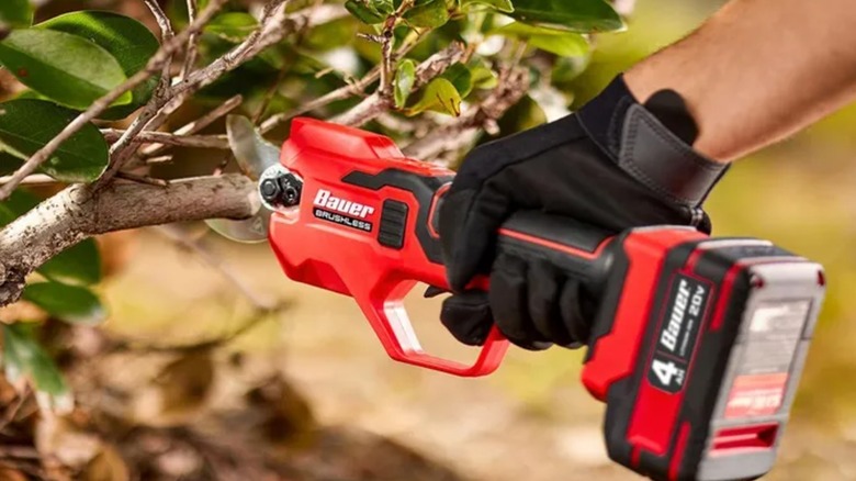 Landscaper using a Bauer 20V Cordless Pruner to trim a tree branch