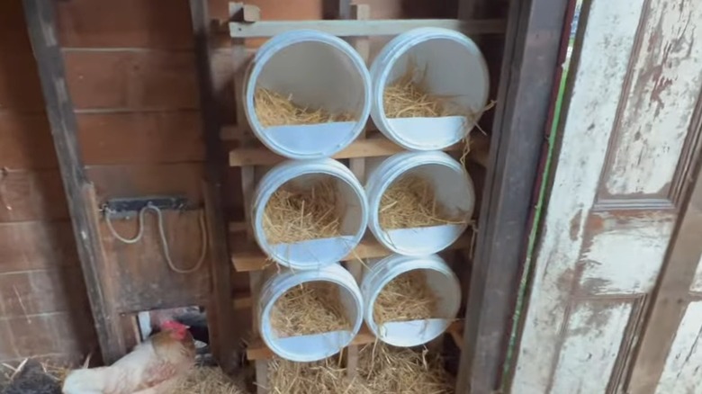 5-gallon buckets converted into nesting boxes.