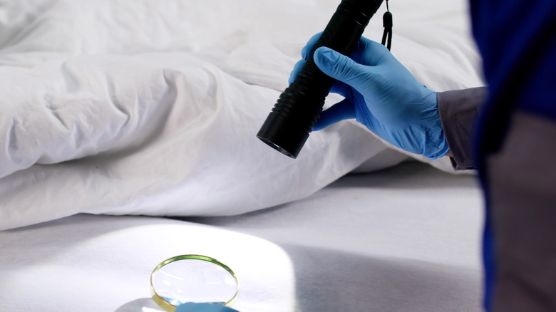 Someone wearing blue gloves and inspecting hotel room bedsheets with a magnifying glass