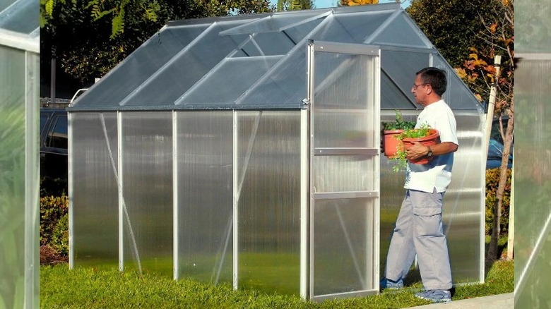 Woman entering a small clear greenhouse