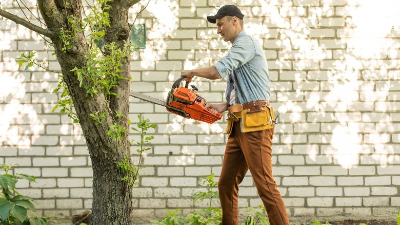 person using orange chainsaw