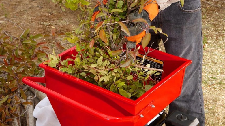 A person putting small branches inside Predator Wood Chipper