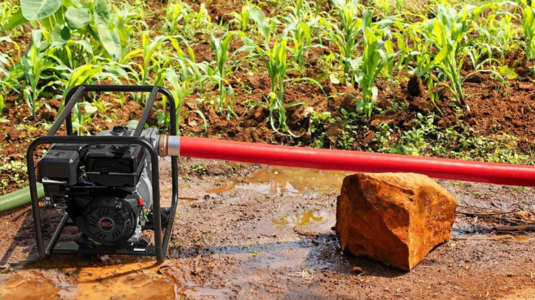 Harbor Freight water pump in use