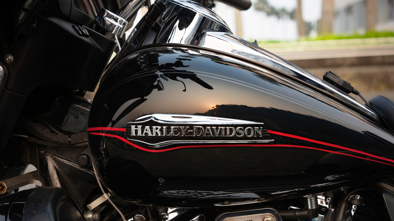Close-up on a Harley-Davidson motorcycle's fuel tank