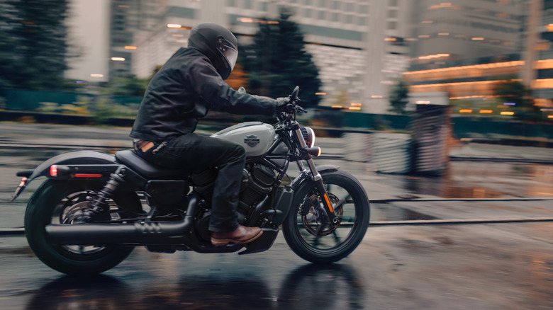 Harley-Davidson Nightster in the city