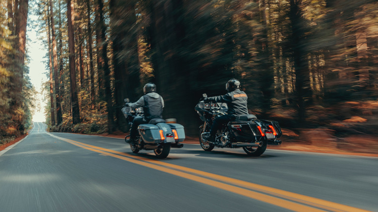 A duo of riders each riding a Harley-Davidson Road Glide, one blue one black, on a forest road
