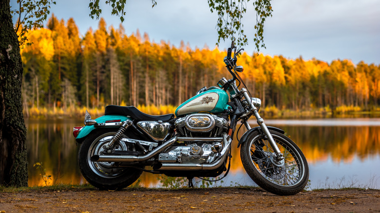 A Harley Davidson Sportster 1200 Custom parked beside a lake