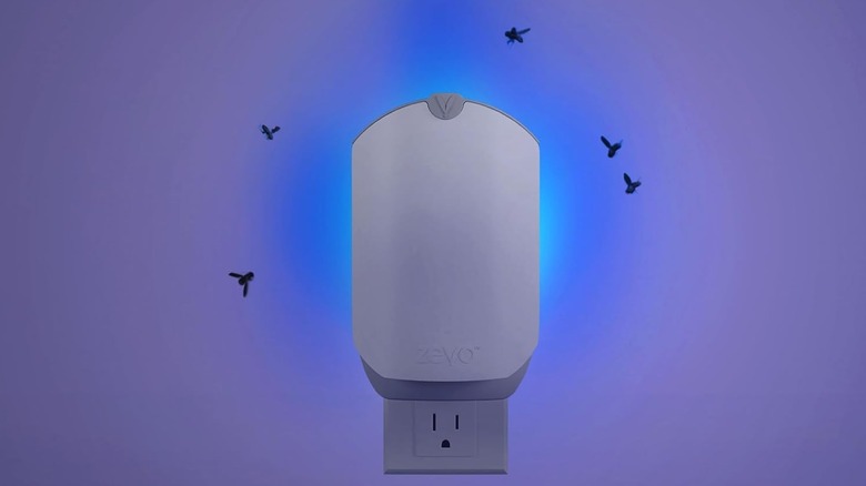 Zevo insect trap on wall