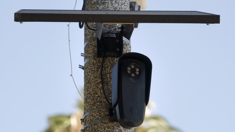 A Flock camera on a pole.