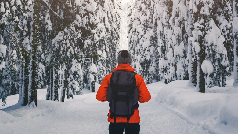 Man in snowy forest