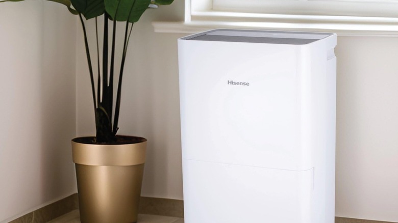 dehumidifier on table