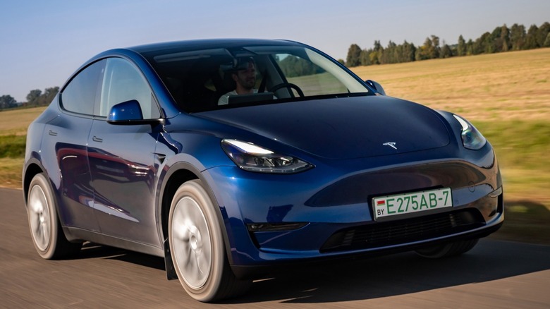 2021 Tesla Model Y