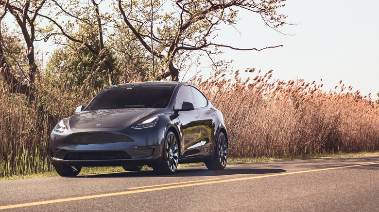 Tesla Model Y on road