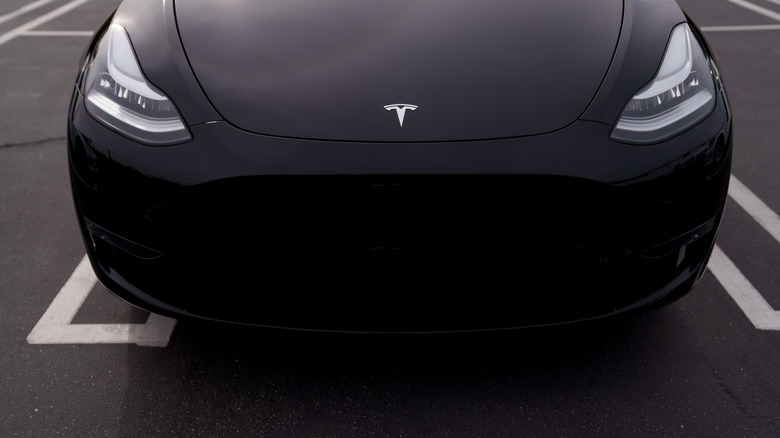 tesla model y front end grille