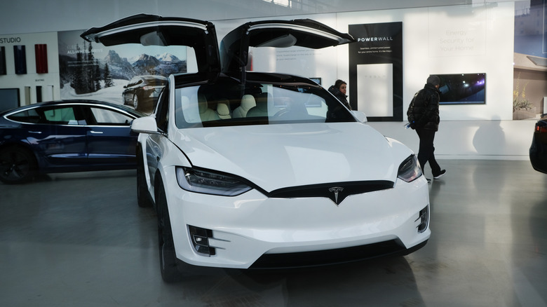 Tesla Vehicle