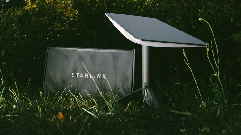 Starlink satellite receiver between grass