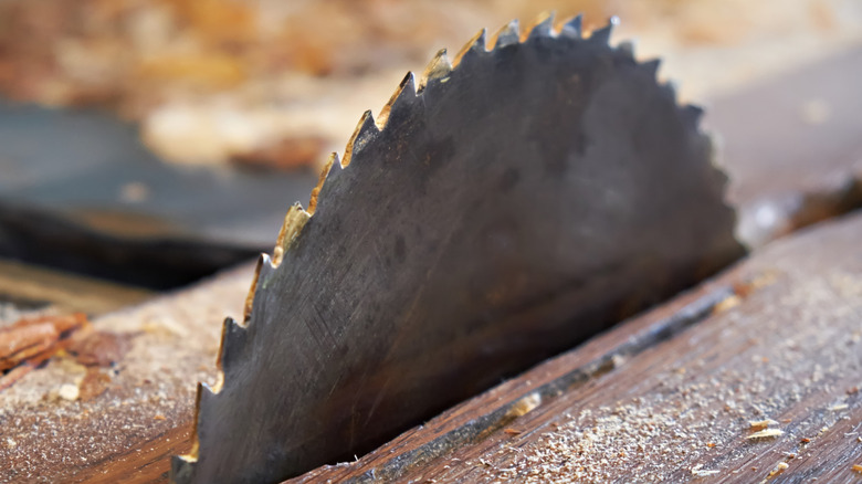 A table saw blade surrounded by sawdust