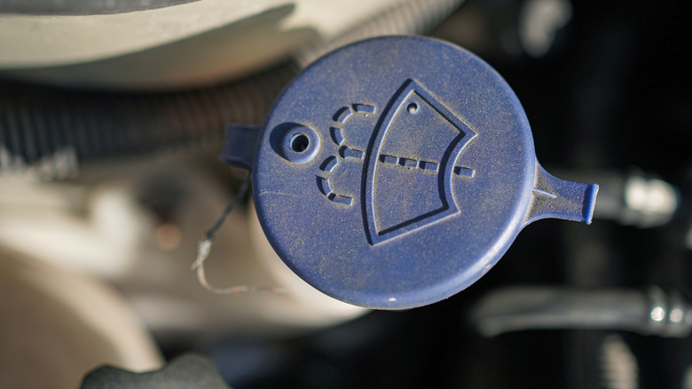The blue cap to a windshield wiper fluid reservoir.
