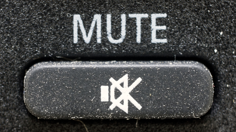 closeup of mute button on remote