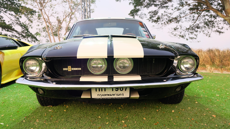 1967 Mustang Fastback on grass centered