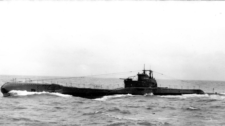 HMS Triumph on the water's surface