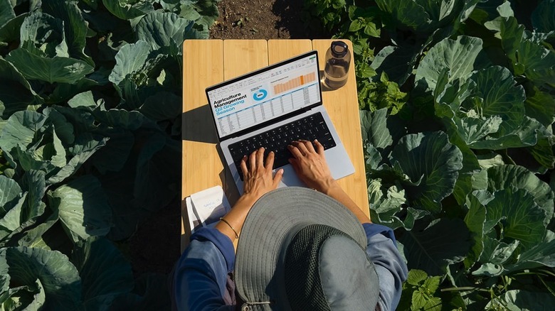 Woman using MacBook Pro in the middle of a garden