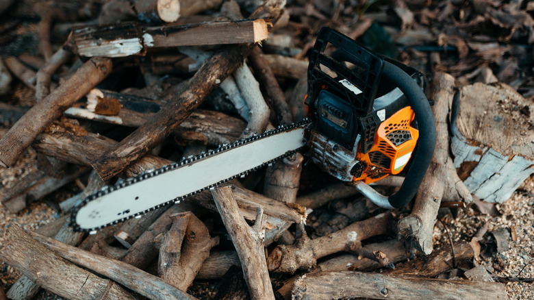 Una motosierra stihl sentada sobre las ramas de madera