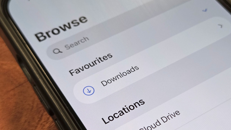 The Downloads folder within the Files app opened on an iPhone 15