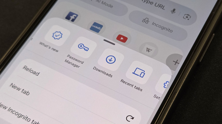 The Downloads option within the Chrome app opened on an iPhone 15