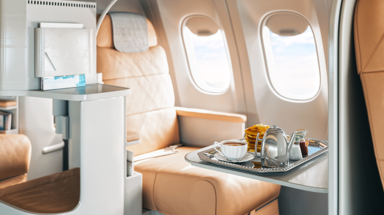 Fancy airline seat