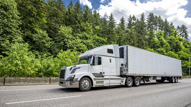 Semi truck driving past trees