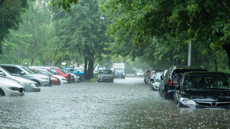Photo of cars in flooded parking lot