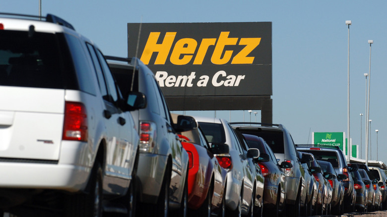 Cars at Hertz car rental