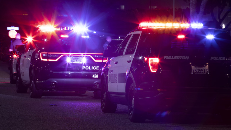 Several police cars with lights flashing.