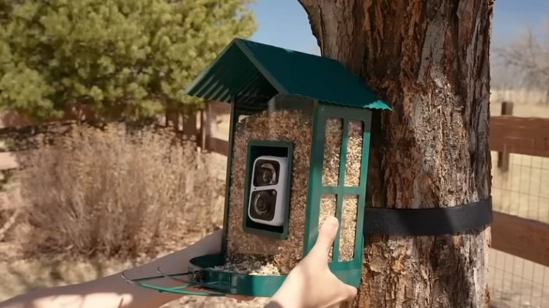 Soliom BF08 Smart Bird Feeder