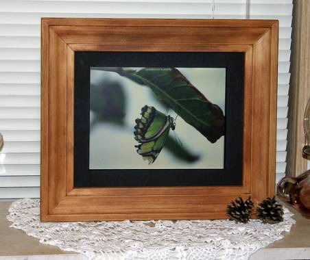 Digital Picture Frame