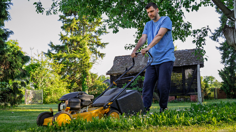 man cutting lawn with a lawn mower