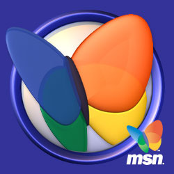 MSN Logo