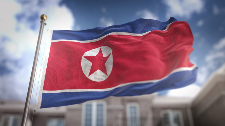 north korean flag