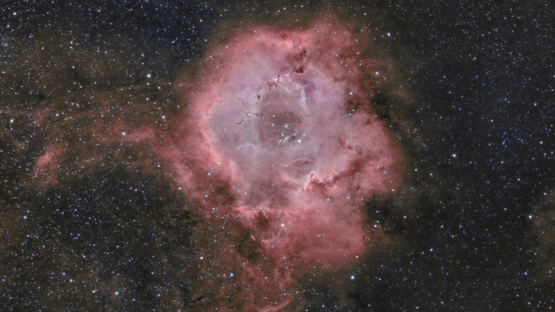 Massive dust cloud in space caused by a supernova