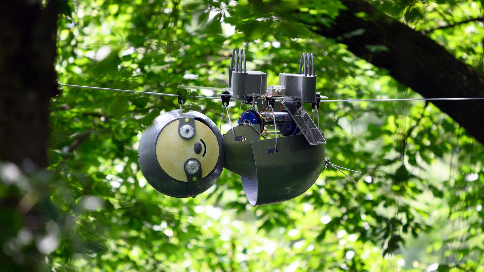 How A Sloth Robot That Could Save The World’s Most Endangered Species – SlashGear