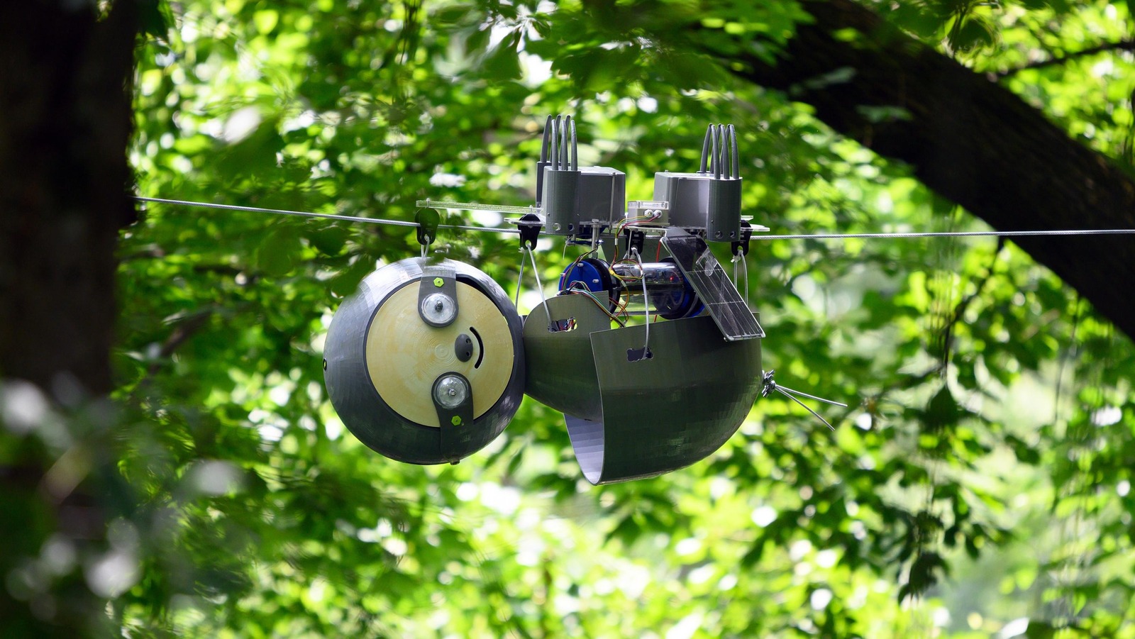 How A Sloth Robot Could Save The World's Most Endangered Species