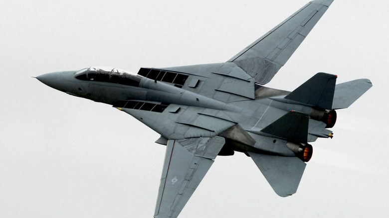 F-14 Tomcat in mid-flight